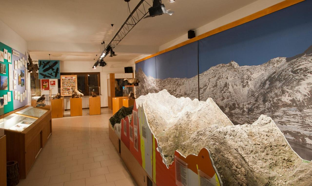 Auberge de jeunesse Casa Del Parco Dell'Adamello Di Vezza dʼOglio Extérieur photo